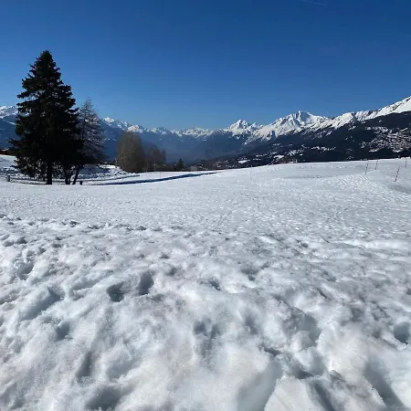 Beautiful And Cosy Duplex In Crans-montana Lens